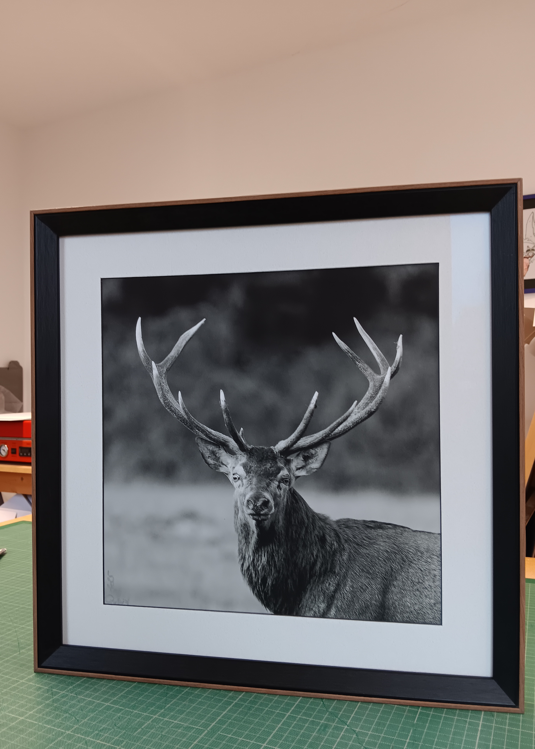 Encadrement de photos